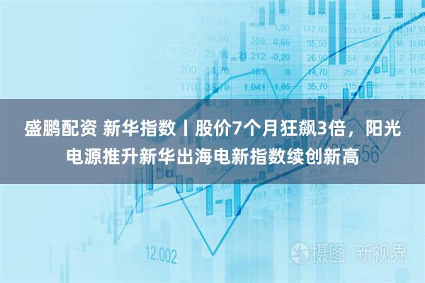 盛鹏配资 新华指数丨股价7个月狂飙3倍，阳光电源推升新华出海电新指数续创新高