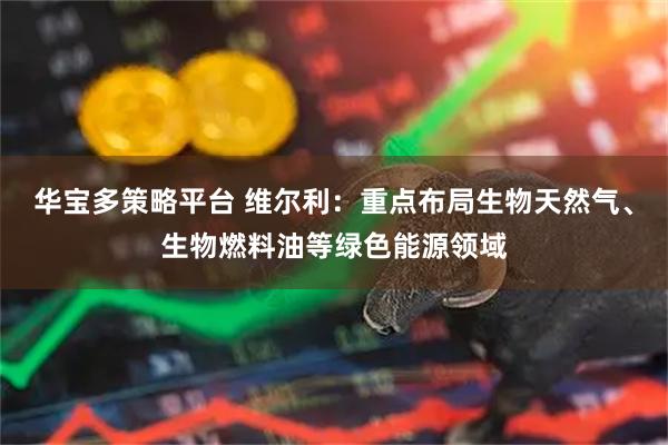 华宝多策略平台 维尔利：重点布局生物天然气、生物燃料油等绿色能源领域