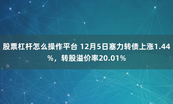 股票杠杆怎么操作平台 12月5日塞力转债上涨1.44%，转股溢价率20.01%