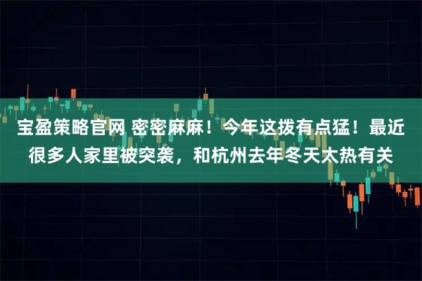 宝盈策略官网 密密麻麻!今年这拨有点猛!最近很多人家里被突袭,和杭州去年冬天太热有关